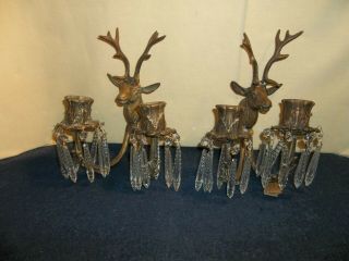 Pair Antique Vintage Solid Brass Buck Stag Deer Head Crystal 2 Arm Wall Sconces