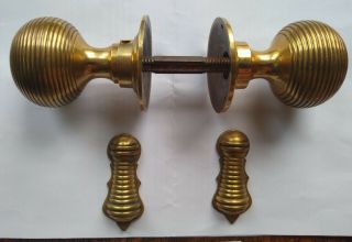 Antique Victorian (arts And Crafts) Brass Beehive Door Knob And Escutcheon Set