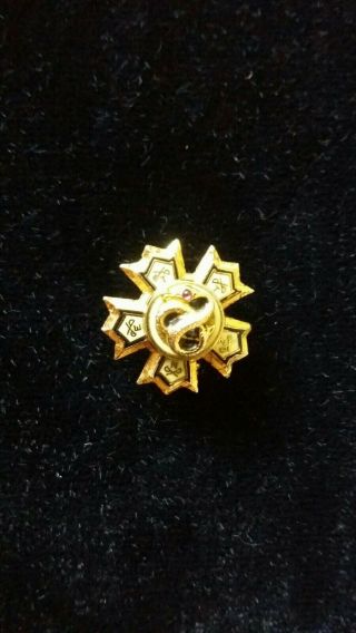 Vintage Sigma Nu ΣΝ Fraternity Badge Pin