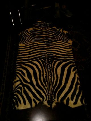 Vintage Zebra Skin Hide Rug Or Wall Hanger