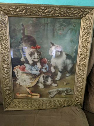 Framed Kittens Playing Wall Picture
