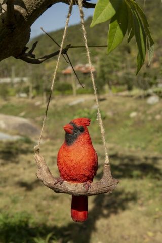 Hanging Cardinal On Branch Figurine - Life Like Figurine Statue Home Garden