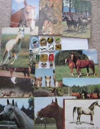 Horses - Horses 14 Pins,  13 Post Cards From Russia,  Us,  Poland,  Czech,  Bulgaria