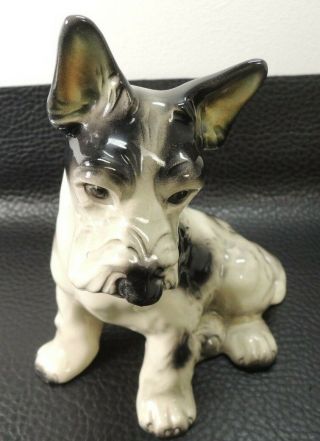 Vtg.  Julius Griesbach In Cortendorf Scotty Terrier Figurine