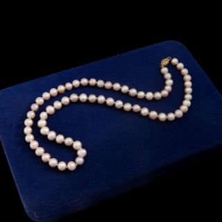 Antique Vintage Art Deco 14k Gold Saltwater Akoya Pearl Lustrous Beaded Necklace