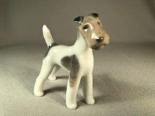 Royal Copenhagen Denmark Porcelain Figurine Of A Fox Terrier Dog,  1958 Hallmark