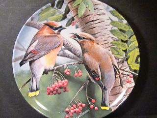 Kevin Daniel 1987 Encyclopaedia Britannica Birds The Cedar Waxwing Ltd Ed Plate