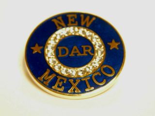 Mexico State Dar Membership Pin -