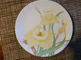 Omnibus By Fitz And Floyd Daffodil Plate,  7.  25 ",  Porcelain