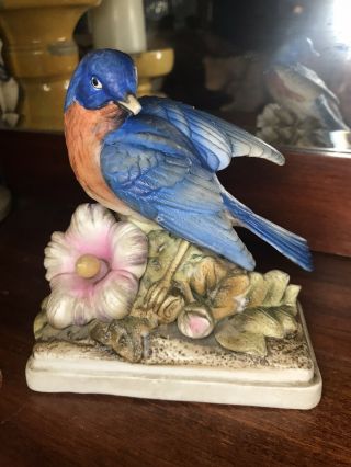Vintage Lefton China Bluebird/blue Bird Figurine Kw 864 Pink Hibiscus