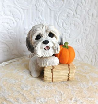 Havanese Autumn Time Sculpture Clay By Raquel At Thewrc