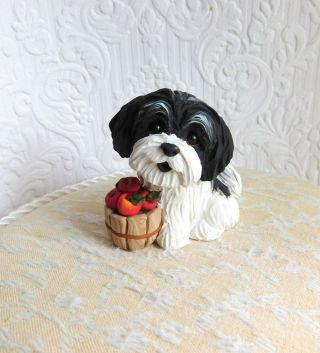 Havanese With Apples Sculpture Clay By Raquel At Thewrc