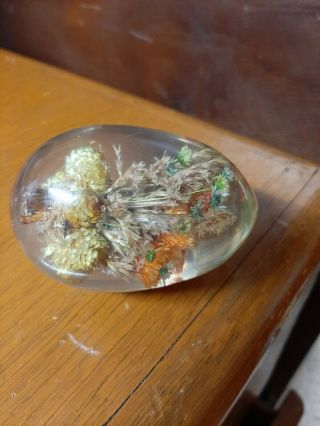 Vintage Daisyglas Lucite Dried Flowers Paperweight Acrylic Egg Shaped Un Marked