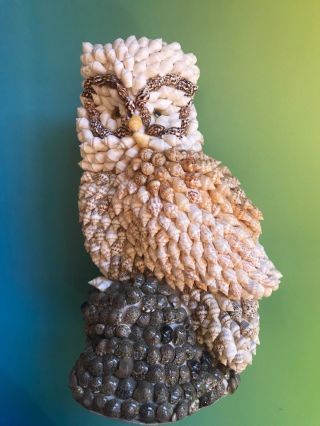 Owl Figurine Real Natural Sea Shell Art Statue Handmade Vintage