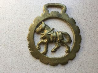 Antique Horse Brass - Horse In Harness In Dog Toothed Frame
