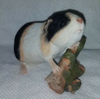Sherratt & Simpson Guinea Pig With Branch Figure (56220)