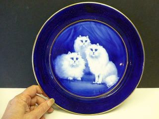 Vintage Persian Cat Grimwades Plate England Cobalt Blue & White Gold 9 7/8 "