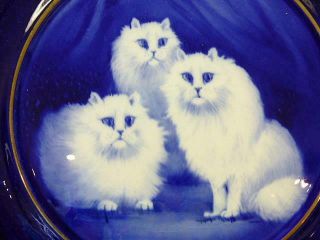 Vintage Persian Cat Grimwades Plate England Cobalt Blue & White Gold 9 7/8 