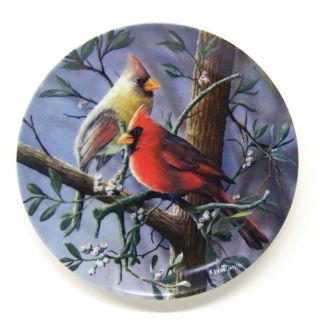 " The Cardinal " 1st In The Encyclopedia Britannica Birds Of Your Garden Garden