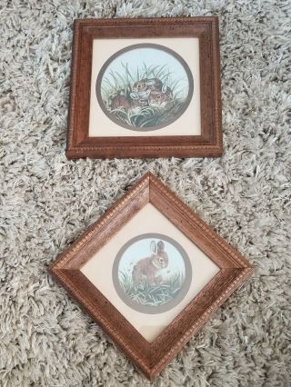 Adorable Set Of 2 Vintage Framed Woodland Bunny Rabbit Prints Picture Wood Frame