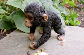 Chimpanzee Baby Monkey Figurine Statue Resin Pet 5 " H Jungle Animal Ornament