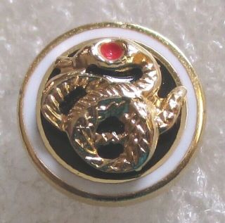 Sigma Nu ΣΝ Fraternity Snake Pledge Pin Lapel Pin - (other)