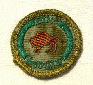 Buffalo Scout Wildlife Conservationist Proficiency Award Badge Black Back Troop