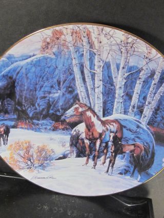1994 Touching The Spirit Camp Of The Sacred Dogs Horse Ltd Ed Plate Amer Indian