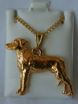 Rhodesian Ridgeback Dog 24k Gold Plated Pewter Pendant Chain Necklace Set