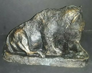 Native American Wild Bison Buffalo Statue In Bronze Patina Fine Collectible Art