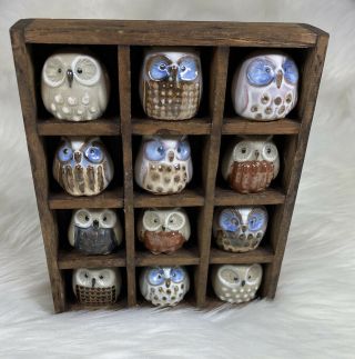 Vintage Miniature Big Eye Owl Pottery 12 Figurine Wood Shadow Box 7” Display