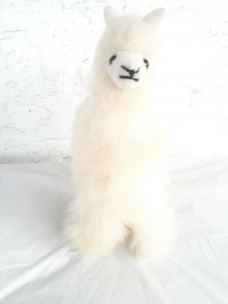 Alpaca 100 Real Fur Plush White Soft Llama Plush Prop Stiff Legs 8 " L 10 " Tall