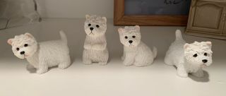 Cute Small West Highland Terrier Westie Figurine Set Of 4 - M I N T