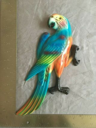 2 Macaw Parrot Tropical Bird 3d Wall Hanging Hangers 12 Ish Inches Tall
