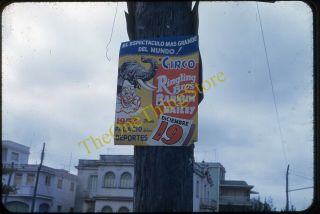 Ringling Brothers Circus Havana Cuba Poster Sign 1950s 35mm Slide Vtg Kodachrome