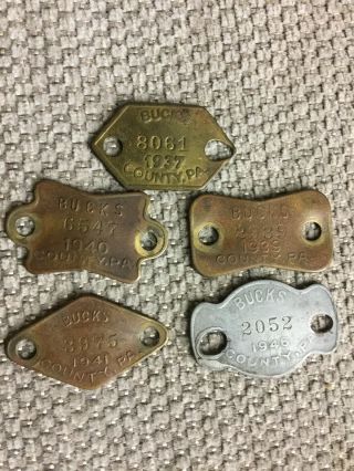 5 Vintage Bucks County Pa Dog License Tags 1937 1939 1940 1941 1946