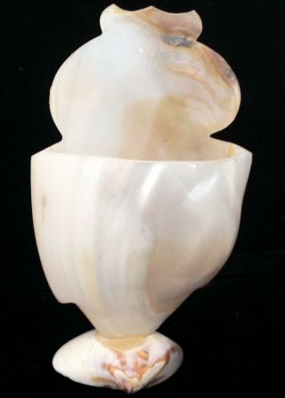 CARVED MOTHER of PEARL SHELL OWL FIGURINE TOOTHPICK HOLDER 3