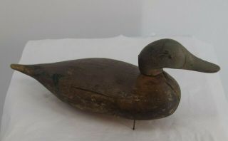 Antique Authentic Hand - Carved Wooden Wood Primitive Large Painted Duck Decoy