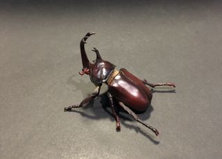 Rare Yujin Kaiyodo Japanese Rhinoceros Beetle Insect Pvc Figure Model