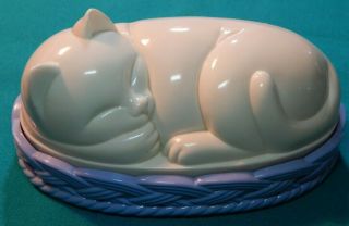 Vintage Acrylic Sleeping Kitty Cat Kitten In A Basket Lint Clothes Brush Meow