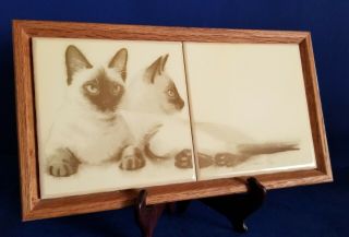 Vtg D Johnston Hayes Framed Decortive Tiles Two Chocolate Point Siamese Cats