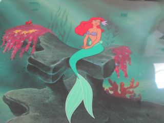 The Little Mermaid Ariel Disney Limited Edition Cel Under The Sea