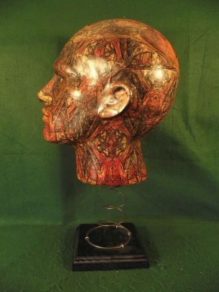 Antique Vintage Style Pseudo Science Medical Anatomical Anatomy Head Kinetic Art