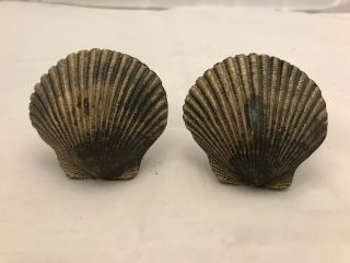Set Of 2 Vtg Seashell Solid Brass Pulls Knobs Patina Coastal Beach Shabby Chic