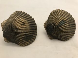 Set of 2 VTG Seashell Solid Brass Pulls Knobs Patina Coastal Beach Shabby Chic 3