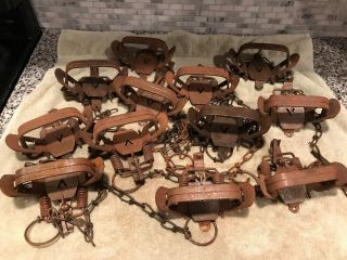 12 Vintage Victor 2 Coil Spring Fox Traps Newhouse Sargent