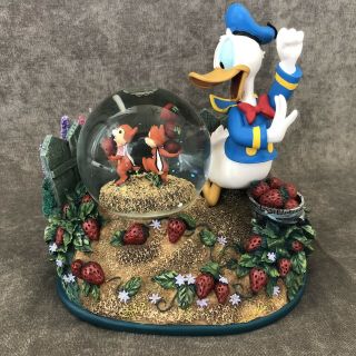 Disney Donald And Chip&dale Strawberry Field Snow Globe “donald Duck Song”