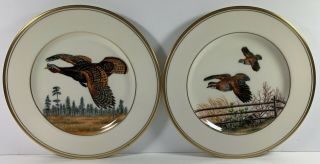 2 Vintage Abercrombie & Fitch Game Bird Hunting Plates C.  Liedl Pheasant Turkey