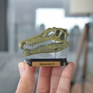 Favorite Spinosaurus Skull Dinosaur Mini Model Figure Designed By H.  Tokugawa