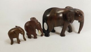 Set Of 3 Carved Wood Elephants 1 Large & 2 Small Zambia Africa